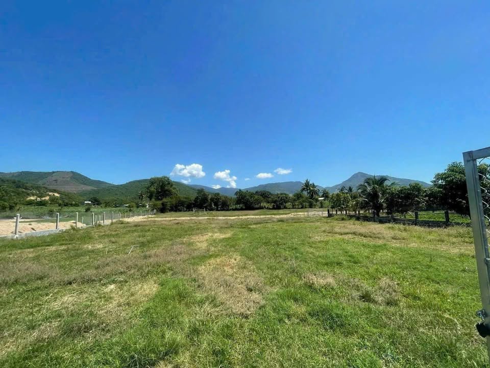 Đất thổ cư 100m² tại Thôn Tân Lập, Cam Phước Tây, 3448m² - Đầu tư lâu dài!