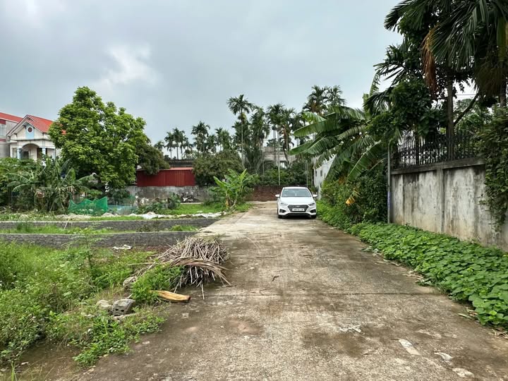 Đất đấu giá Vạn Kim Hương Sơn 99m² giá 1.2 tỷ - Cơ hội đầu tư sinh lời!