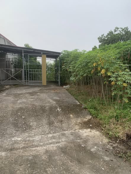 Đất nền khu phố 4 xã Vạn Xuân 136m² giá 600 triệu - Nở hậu, 2 mặt tiền!