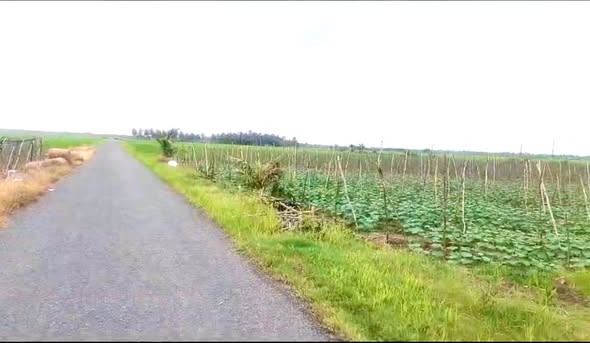 Đất nền mặt tiền HL28, xã Tân Thạnh, TP Cần Thơ, 725m² giá 6.86 tỷ - Đầu tư sinh lời ngay!