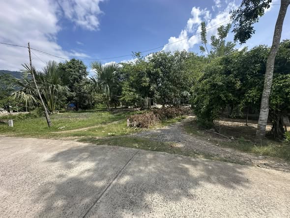 Đất nền Khánh Bình 490.8m² giá chỉ 3xx - Đường ô tô vào tận nơi!