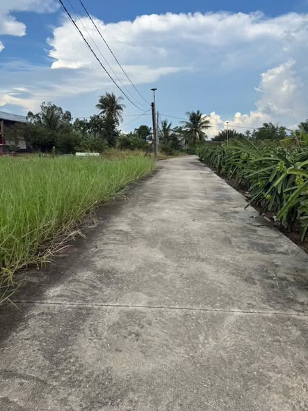 Đất thổ cư ấp Bình Trị 1, Châu Thành, Long An 175m² giá 420 triệu - Sổ hồng riêng chính chủ!