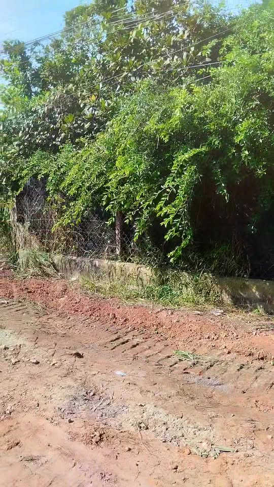 Bán đất Khu phố Bầu Mây, Trảng Bàng 215m² giá 580 triệu - Đường nhựa sắp hoàn thiện!