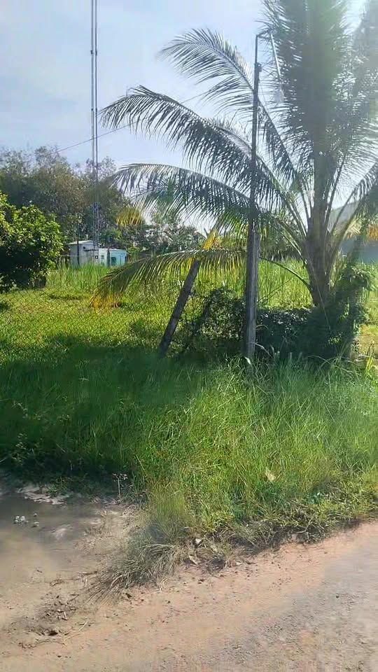 Đất mặt tiền đường nhựa KP Gia Huỳnh, Trảng Bàng 198m² giá 1.2 tỷ - Sổ hồng chính chủ!