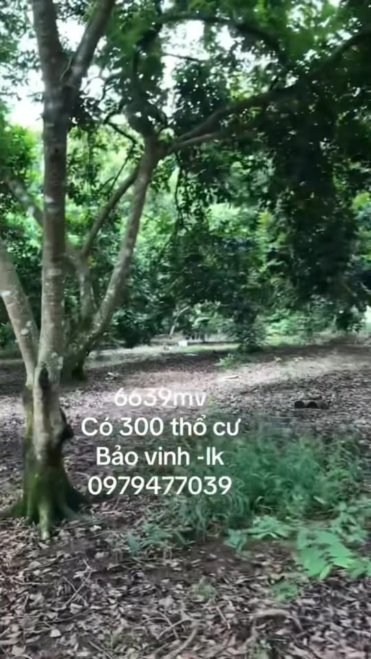 Đất nền Bảo Vinh, Long Khánh 6639m² - Giá 1,2 tỷ, thương lượng ngay!