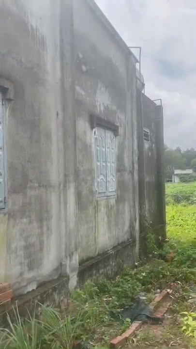 Nhà riêng Vĩnh Thanh - Nhơn Trạch 105m² giá 800 triệu - Dọn vào ở ngay!