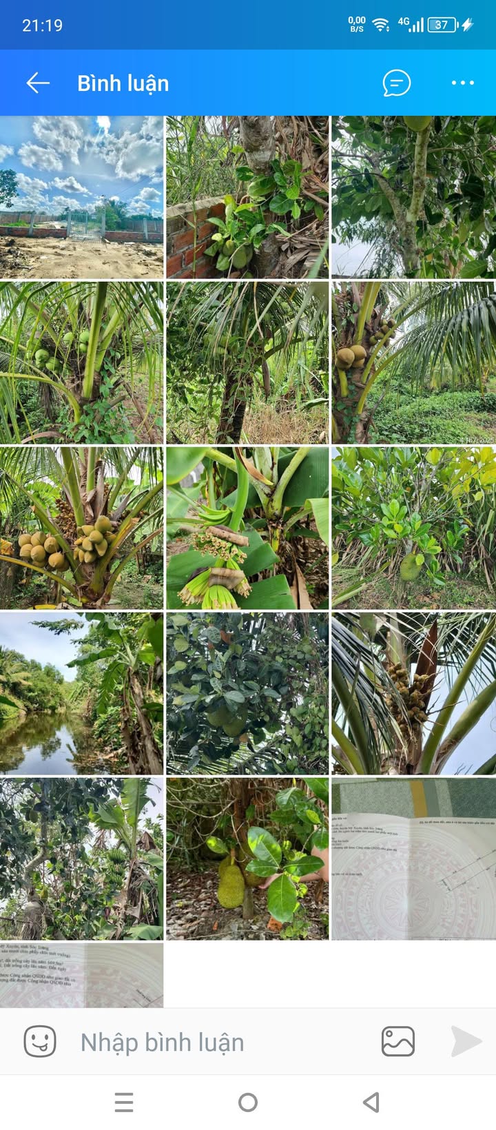 Đất vườn 4.252m² mặt tiền đường tỉnh 936 - Giá chỉ 3 tỷ!