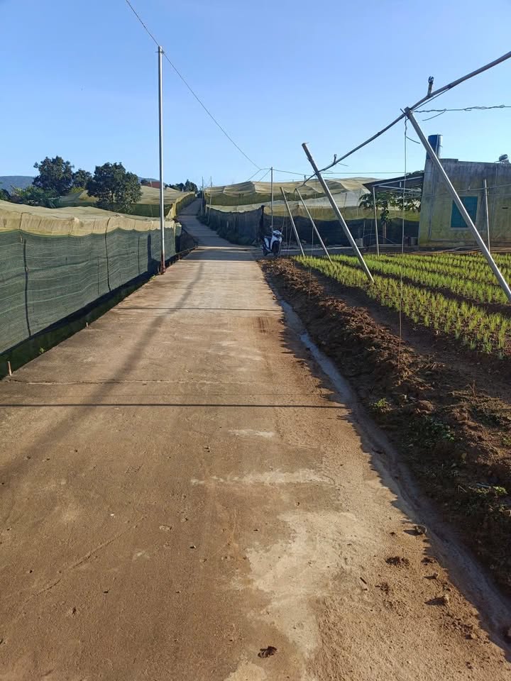 Đất nông nghiệp 4,9 sào tại xã Ka Đô, Đơn Dương - Giá chỉ 4.9 tỷ - Sẵn sàng canh tác!