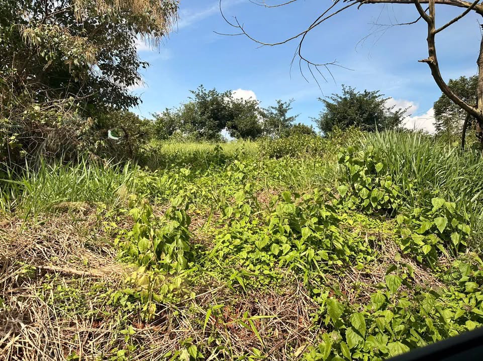 Đất thổ cư Lộc An 360m² giá 1.16 tỷ - View đẹp, gần khu nghỉ dưỡng!