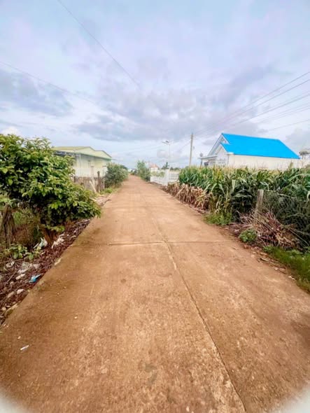 Đất nền Tân Hội, Đức Trọng 640m² chỉ 1.7 tỷ - Cơ hội vàng đầu tư!