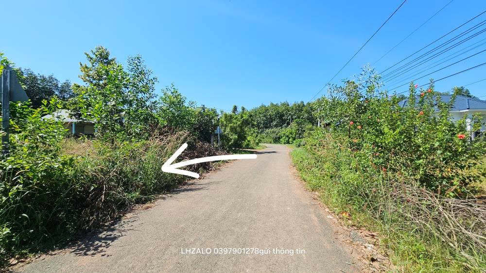 Đất nền phường Tân Đồng, Đồng Xoài 350m² giá 900 triệu - Cơ hội đầu tư hấp dẫn!