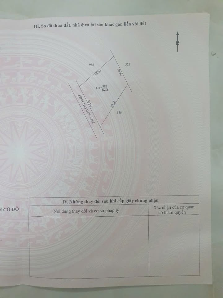 Đất lúa 1600m² xã Thới Đông, Cờ Đỏ - Giá chỉ 390 triệu