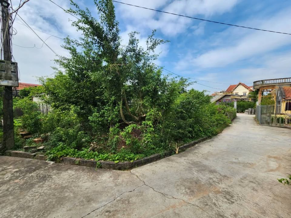 Đất Tân Lập Vũ Thư 275m² giá 1 tỷ - Mặt tiền 20m ô tô vào tận đất!