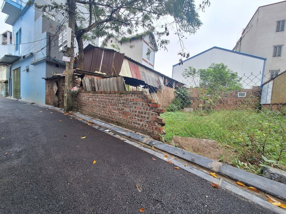 Đất nền Thụy Lâm Đông Anh 44m² giá 2 tỷ - Đầu tư sinh lời nhanh chóng!