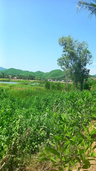 Đất thổ cư An Nghiệp Hoài Mỹ 120m² giá 200 triệu - Cơ hội đầu tư tuyệt vời!