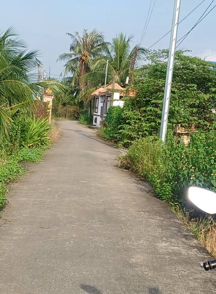 Đất nông nghiệp 2.000m² tại xã Vĩnh Công, Châu Thành - Giá chỉ 2.1 tỷ, nở hậu đẹp!