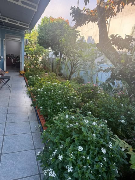 Nhà mặt tiền đường 8A, Buôn Ma Thuột 350m² giá 3.99 tỷ - Kinh doanh thuận lợi!