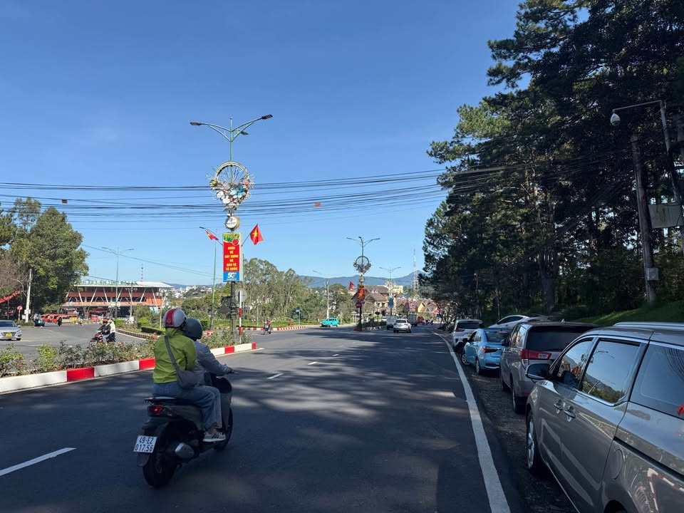 Đất nền Đà Lạt 1100m² giá 35 tỷ - View đồi thông tuyệt đẹp!