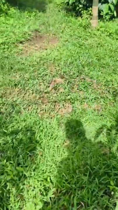 Đất nền xã Ia Ba 6000m² giá 900 triệu - Điện nước đầy đủ, giao dịch nhanh chóng!