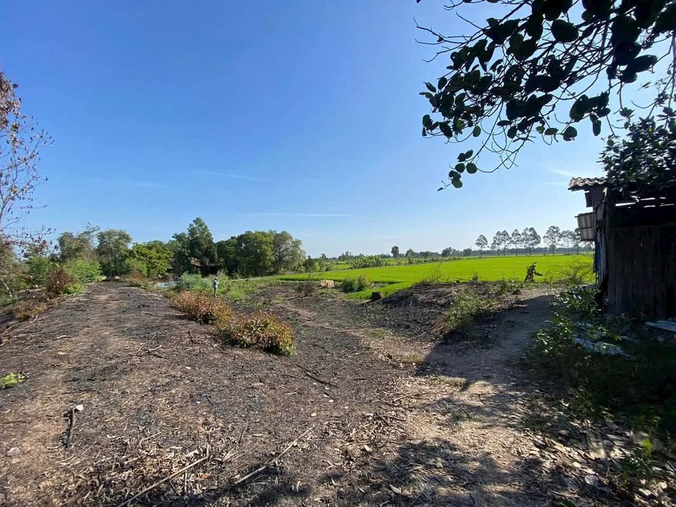 Đất nền 11471m² tại Long Thạnh, Thủ Thừa, Long An - Giá 1.5 tỷ, thương lượng!