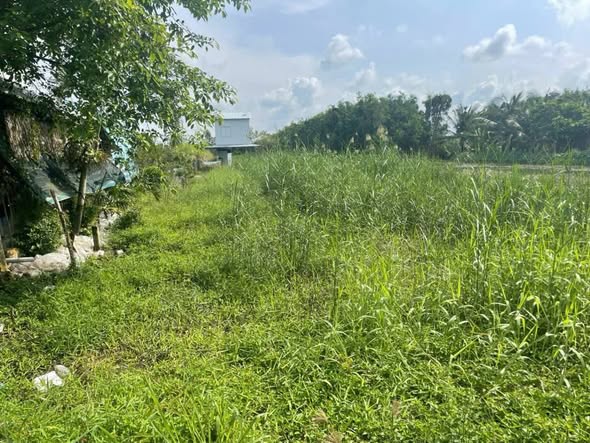 Đất mặt tiền đường Quảng Lộ, xã Long Hưng, 4.800m² giá 2.2 tỷ - Cơ hội đầu tư hấp dẫn!