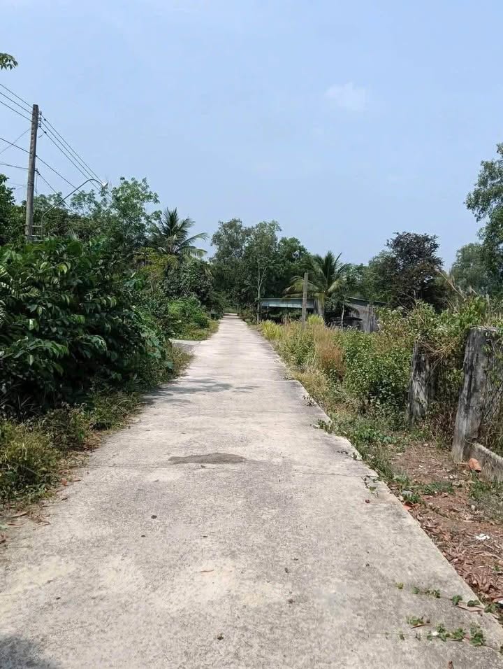 Đất nền Định Hiệp 300m² giá 1.2 tỷ - Phù hợp làm nhà vườn lý tưởng!