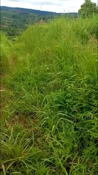 Đất nền Ea Khăl, huyện Ea H'leo 3600m² giá 138.889 triệu - Đầu tư sinh lời hấp dẫn!