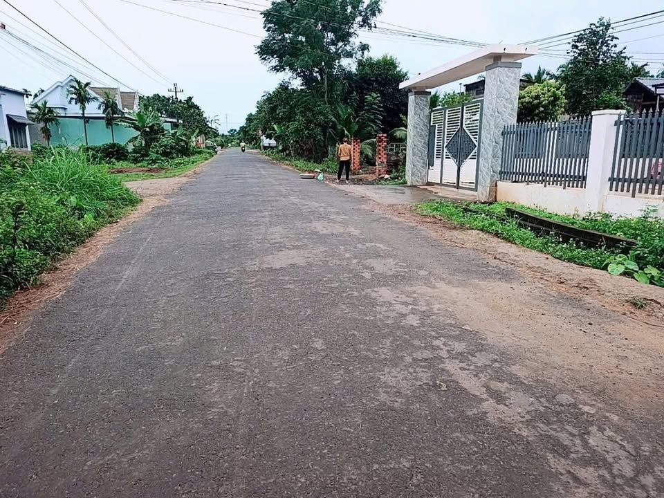 Đất thổ cư Hẻm Cấp 1 đường Hồ Chí Minh 250m² giá 2.5 tỷ - Cơ hội đầu tư hiếm có!