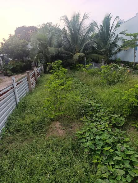 Đất nền Tiến Lợi Phan Thiết 117.8m² giá 550 triệu - Cơ hội đầu tư tuyệt vời!