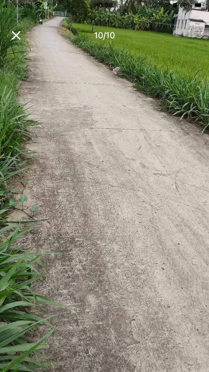 Đất nền Vĩnh Hựu, Gò Công Tây 253m² giá chỉ 350 triệu - Sổ hồng chính chủ!