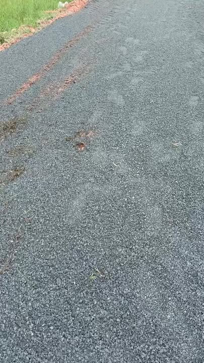 Đất nền Phan, Dương Minh Châu 137m² giá chỉ 120 triệu - Sổ đỏ chính chủ!