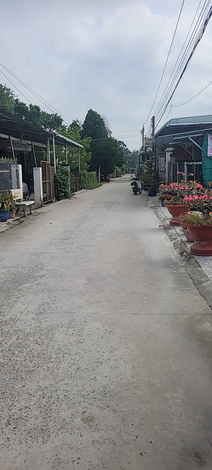 Đất nền Cẩm Giang Gò Dầu 240m² giá 240 triệu - Gần chợ và tiện ích đầy đủ!