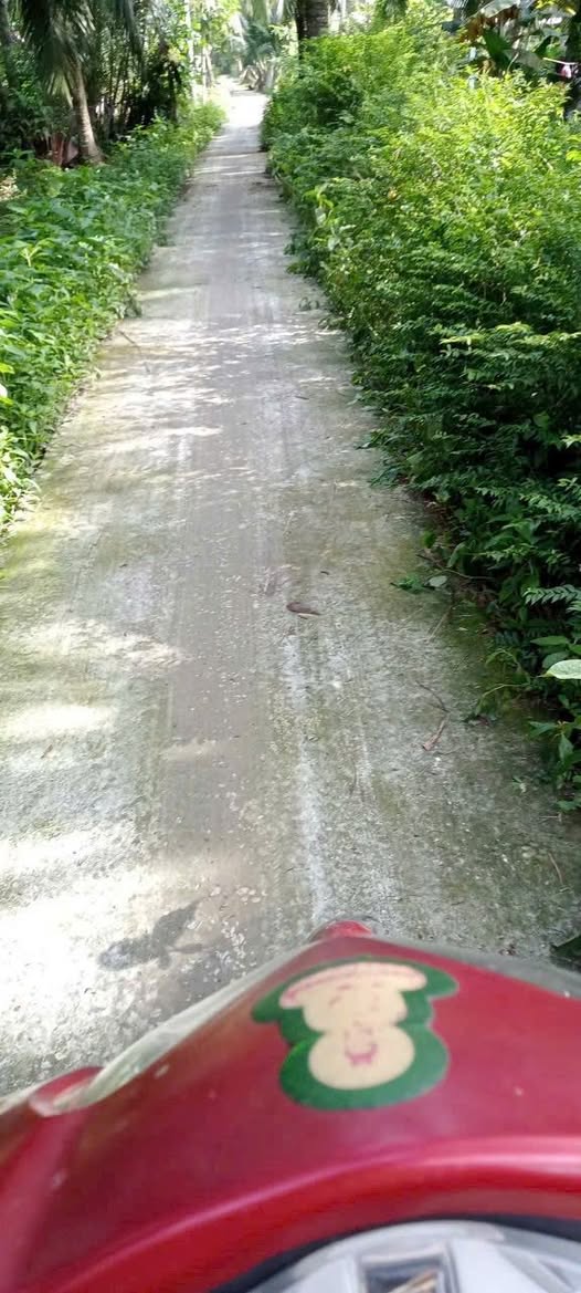 Đất nền Quới Điền Bến Tre 252m² giá chỉ 220 triệu - Cơ hội đầu tư tuyệt vời!