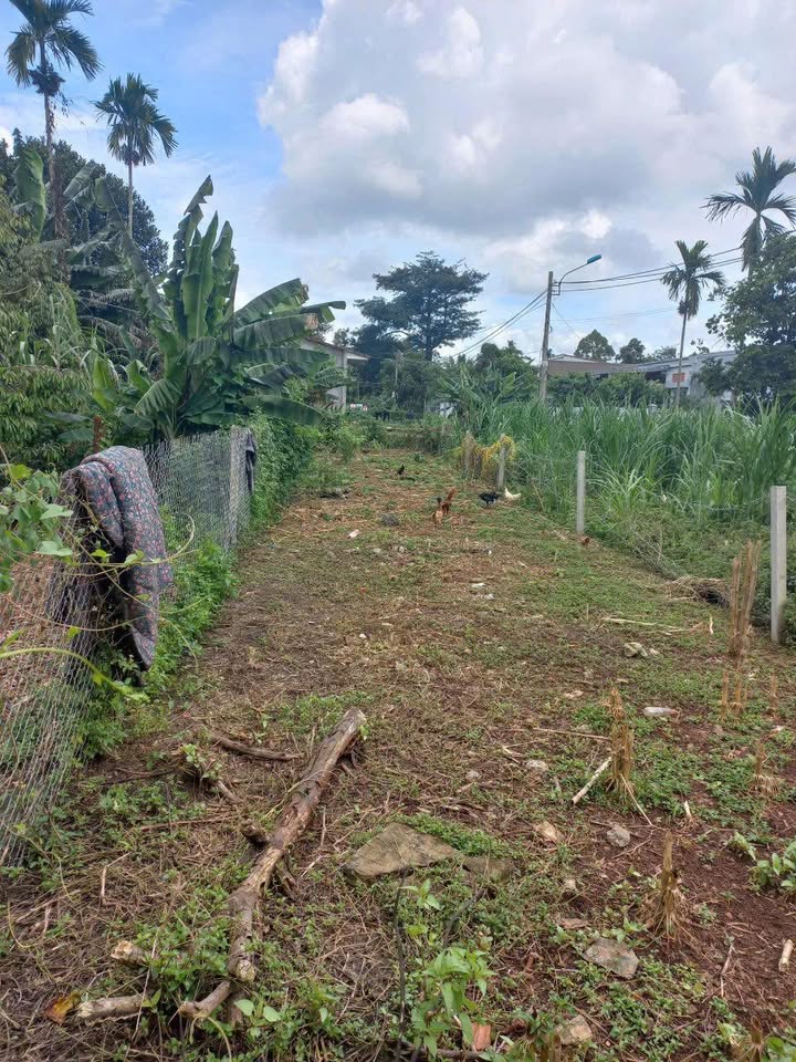 Lô đất mặt tiền Nguyễn Xuân Nguyên - Diện tích 60m² giá 2.65 tỷ - Đầu tư sinh lời ngay!