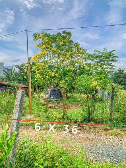 Đất thổ cư Ninh Thọ 200m² - Khu dân cư đông đúc, giá thỏa thuận!