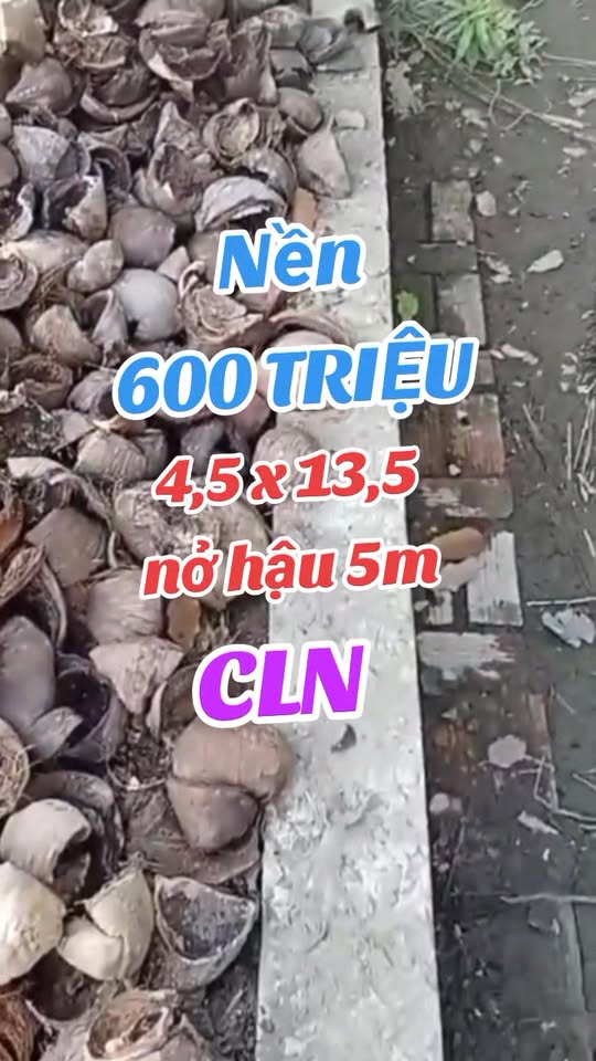 Đất vườn hẻm 5 Bùi Hữu Nghĩa 63m² giá 600 triệu - Nền đã đổ móng, xây nhà ngay!