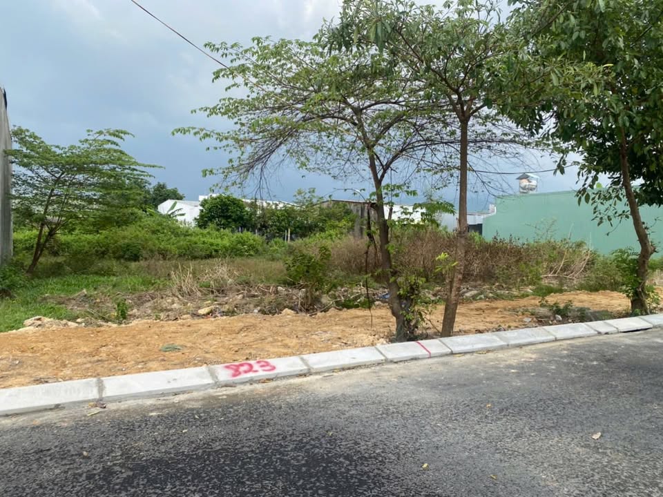 Đất Hòa Liên 125m² giá 2.6 tỷ - Dân cư đông đúc, tiện ích đầy đủ!