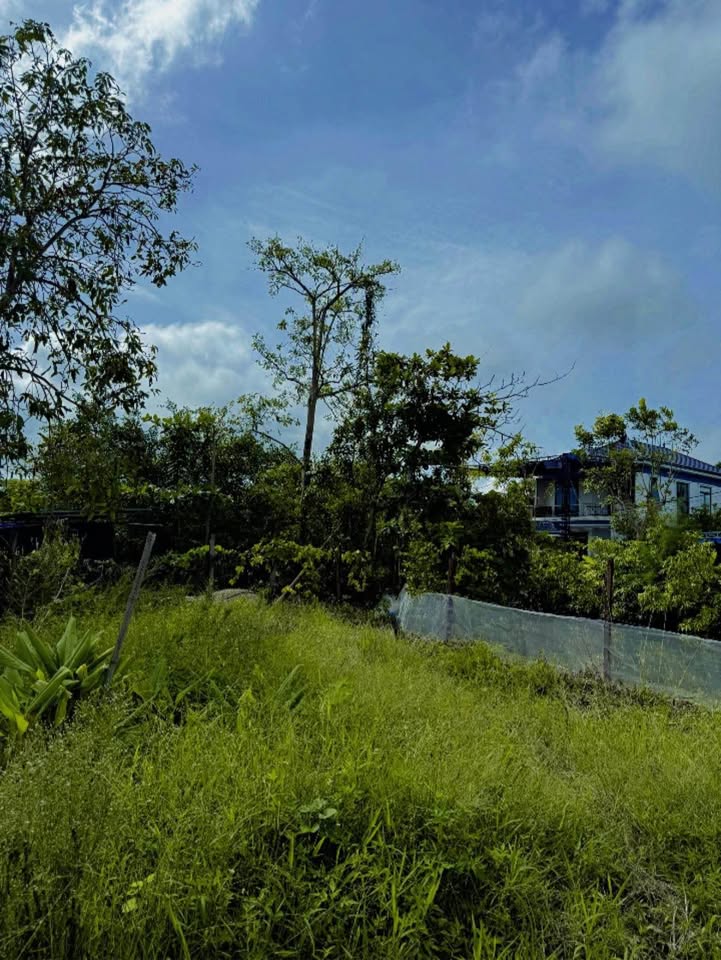 Đất TDP Thắng Hòa, Hà Tĩnh 120,9m² giá 1,3 tỷ - Đầu tư sinh lời ngay!