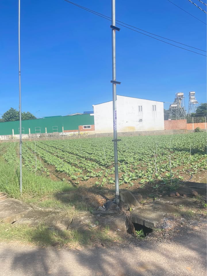 Đất nền Phú Hội Đức Trọng 200m² giá 2.15 tỷ - Đầu tư sinh lời lâu dài!