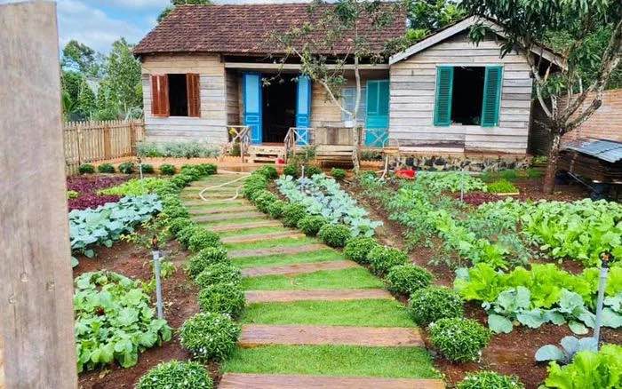 Đất vườn Phường Tùng Thiện, Sơn Tây 630m² giá 600 triệu - Cơ hội đầu tư hấp dẫn!