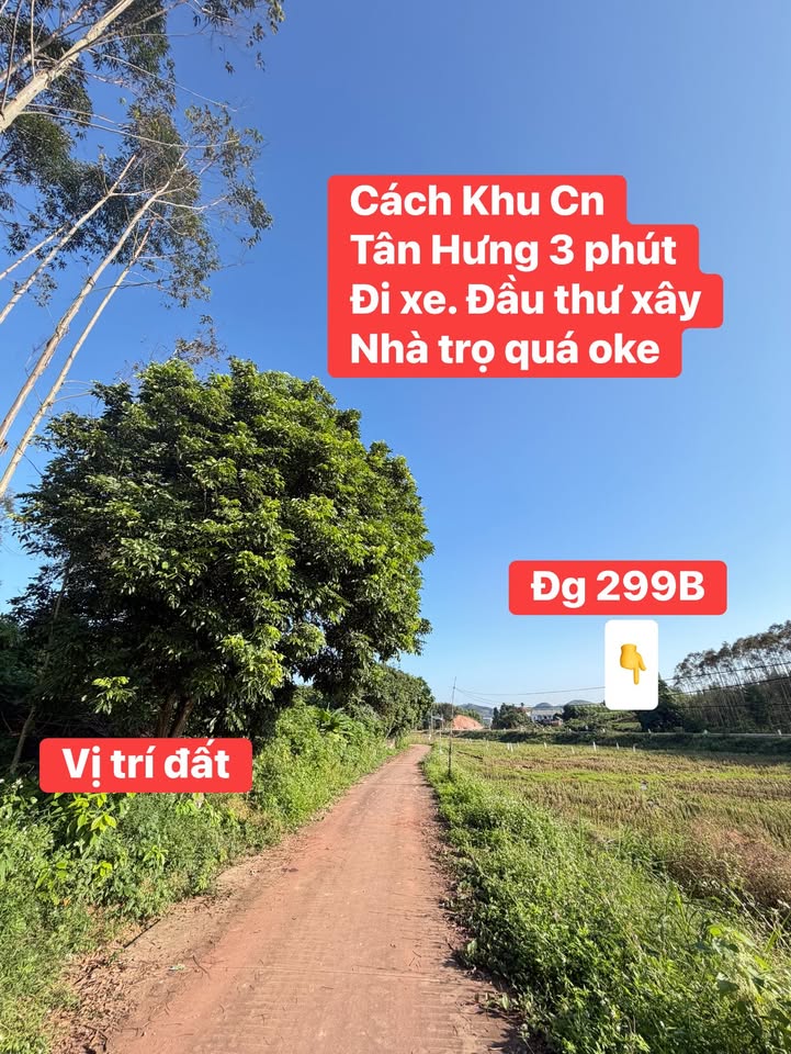 Đất nền Tân Hưng, Lạng Giang 250m² giá chỉ 700 triệu - Cơ hội đầu tư hấp dẫn!