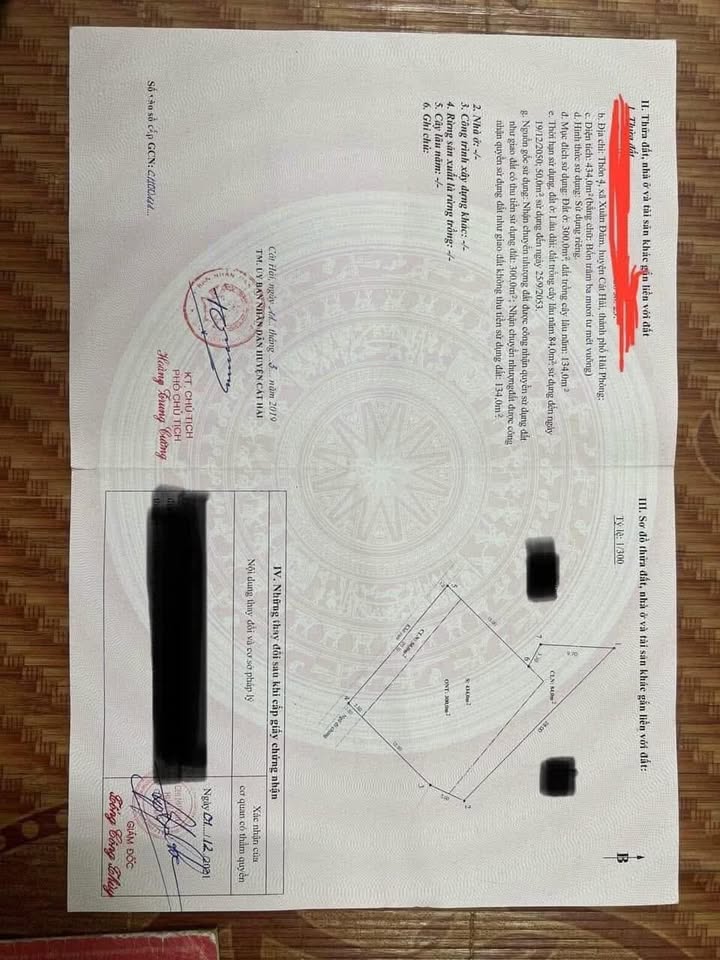 Đất nền chính chủ 434m² tại Xuân Đám, Cát Bà - Giá cắt lỗ chỉ 13 triệu/m²!