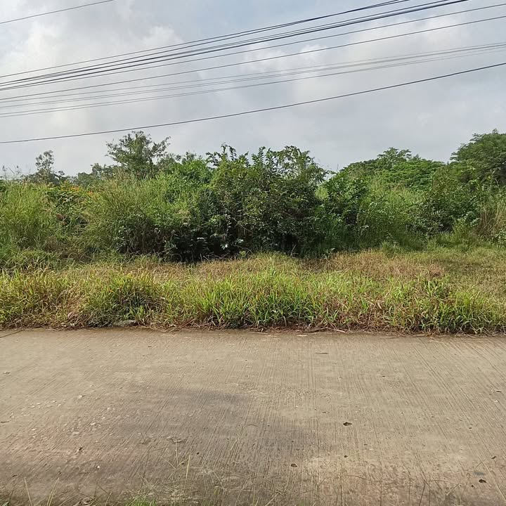 Đất nền ấp Giồng Chùa B, xã An Hiệp, 1000m² giá 700 triệu - Sổ đỏ chính chủ!