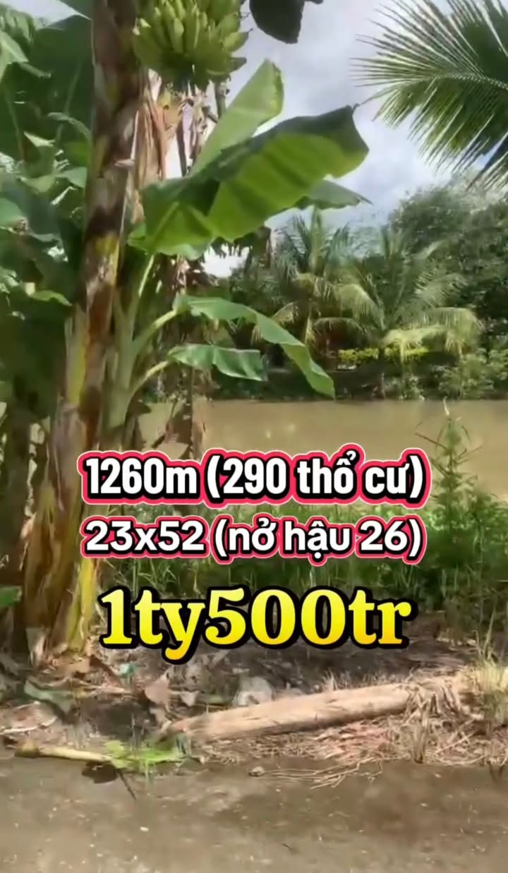 Đất nền Trường Thành, Thới Lai 1260m² giá 1.5 tỷ - Đầu tư sinh lời ngay!