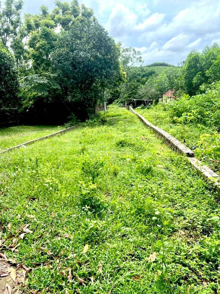 Đất Tân Thành Thái Nguyên 300m² giá 600 triệu - Mặt tiền rộng, không quy hoạch!