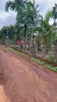 Đất nền Pơng Drang 185m² giá 740 triệu - Vị trí kinh doanh sầm uất!