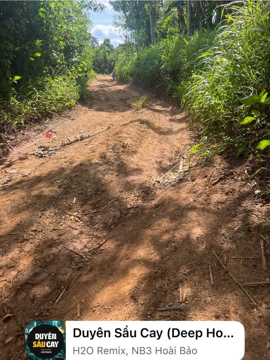 Farm 27.360m² tại thị trấn Ea Kar - Giá chỉ 3 tỷ, cơ hội đầu tư tuyệt vời!