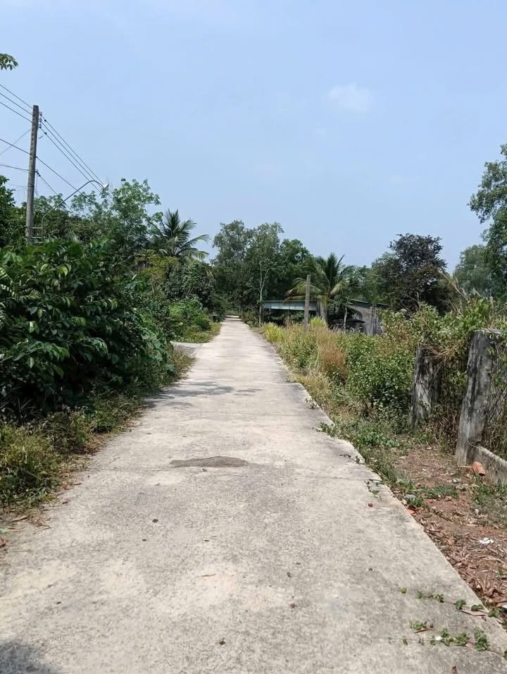 Đất thổ cư Định Hiệp, Dầu Tiếng 24.000m² giá 1.2 tỷ - Đầu tư sinh lời ngay!