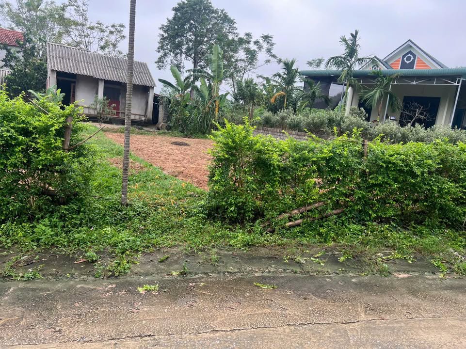 Đất nền Xuân Phúc, Như Thanh 500m² giá 1.5 tỷ - Đầu tư sinh lời ngay!