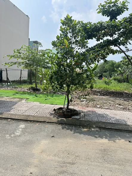 Đất nền Quận 2 Nguyễn Duy Trinh 191m² giá 7.9 tỷ - Cơ hội đầu tư hiếm có!